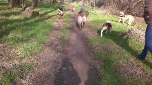 passeggiata